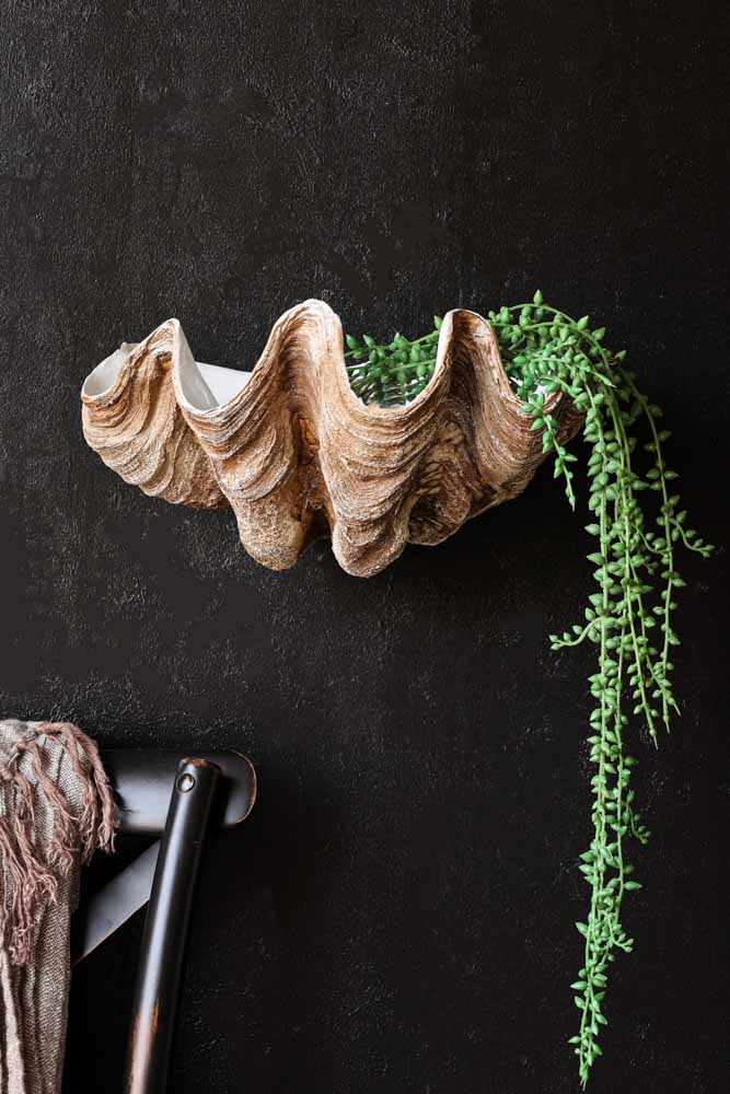 Clam Shell Wall Shelf - Image 6